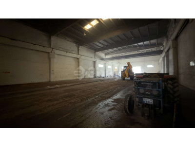 WhatsApp Image 2026-03-30 at 20.43.23 (2).jpeg